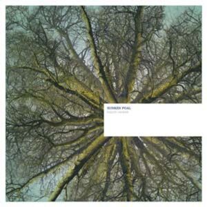 Sunken Foal - Fallen Arches  CD